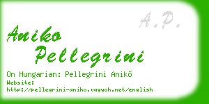 aniko pellegrini business card